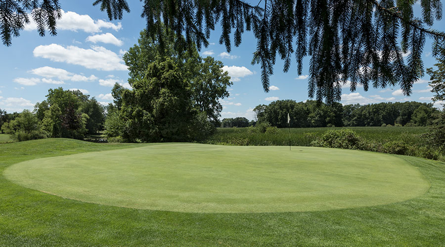 St. Joe Valley Golf Club course hole 11 putting green